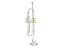 CC HS - TROMPETTE SIB PRO PLAQUEE ARGE XO1602SS4