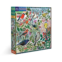 Puzzle 1000 pièces - Birds of Scotland