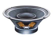 CC HS - HAUT-PARLEUR LARGE BANDE 12" A CONE 100W 8 O