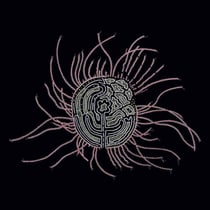 Bearings : Soundtracks For The Bardos