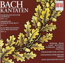 Cantates Bwv 26-173a-173