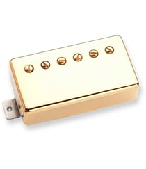 CC HS - DUNCAN DISTORTION, MANCHE, GOL