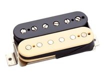CC HS - SLASH ALNICO II PRO, MANCHE RE
