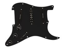 CC HS - DAVE MURRAY LOADED PICKGUARD N