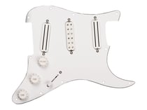 CC HS - DAVE MURRAY LOADED PICKGUARD B