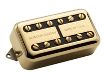 CC HS - PSYCLONE HUMBUCKER MANCHE GOLD