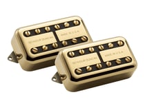 CC HS - PSYCLONE HUMBUCKER SET GOLD