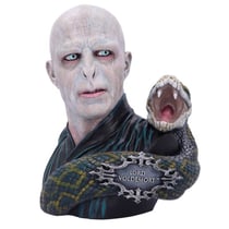 Buster collector - Harry Potter Voldemort