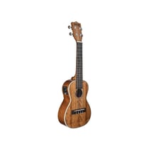 Kala Gloss Mahogany. Concert électro-acoustique