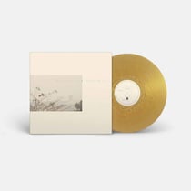 Golden Haze