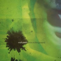 Birds In The Ground - édition colorée