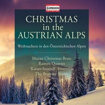 Christmas in the Austrian Alps