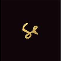 Sylvan Esso