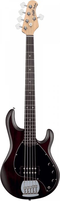 Sterling by Music Man Ray5 - Guitare basse - Stingray - Walnut Satin  