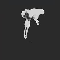 Tear The Roots - édition limitée