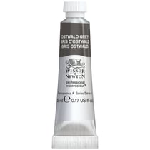 Tube de 5 ml d'aquarelle professionnelle Winsor & Newton - gris d'ostwald