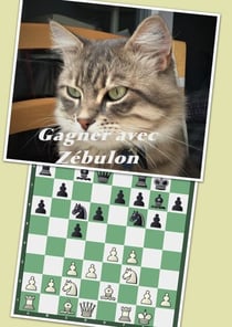 Gagner avec Zébulon - un système original contre la Sicilienne