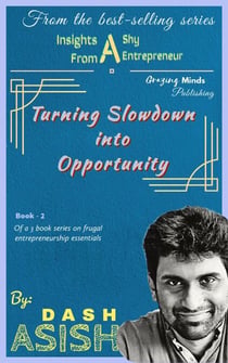 Insights from a Shy Entrepreneur : Turning Slowdown into Opportunity - The Shy Entrepreneur, #2