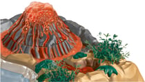 Triops et Dinosaures