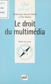 Le droit du multimédia - Du CD-Rom à l'internet