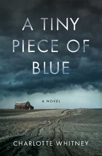 A Tiny Piece of Blue - A Novel