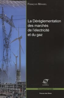 La déréglementation des marchés de l'électricité et du gaz - Les grands enjeux économiques