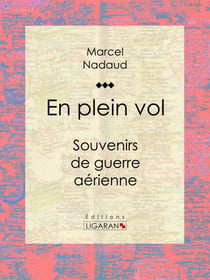 En plein vol - Souvenirs de guerre aérienne