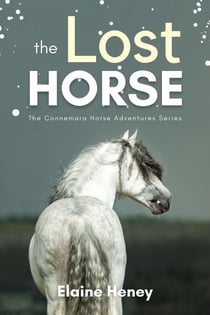 The Lost Horse - Book 6 in the Connemara Horse Adventure Series for Kids - Connemara Horse Adventures, #6