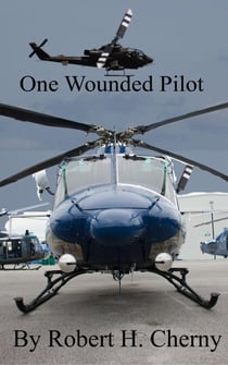 One Wounded Pilot