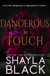 Dangerous to Touch (A Series Starter Anthology)