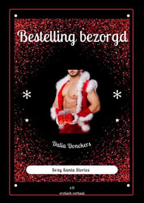 Bestelling bezorgd - Santa Stories, #11