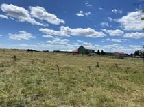 Martha la Vache et Autres Histoires.