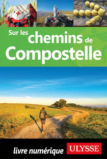 Sur les chemins de Compostelle