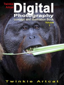 Twinkie Artcat Digital Photography Concept And Illustration Book, Volume 1 - Twinkie PhotoBook, #1