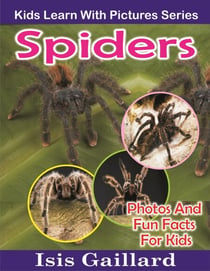 Spiders Photos and Fun Facts for Kids - Kids Learn With Pictures, #21