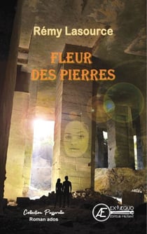 Fleur des pierres - Passerelle