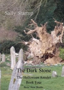 The Dark Stone - The Halloween Amulet, #4