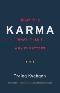 Karma - What It Is, What It Isn't, Why It Matters