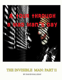 A Tour Through A Mad Man’s Days - The Invisible Man, #11