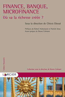 Finance, banque, microfinance - Où va la richesse créée ?