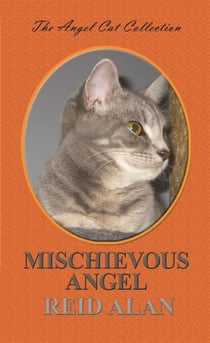 Mischievous Angel - Angel Cat Collection, #10