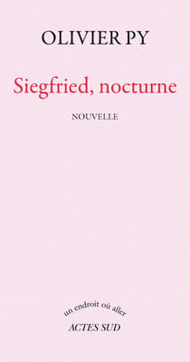 Siegfried, nocturne