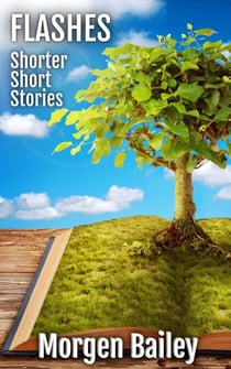 Flashes ~ Shorter Short Stories - Morgen Bailey's Short Story Collections