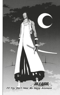 Bleach - T24 - Chapitre 212 - You Don't Hear My Name Anymore
