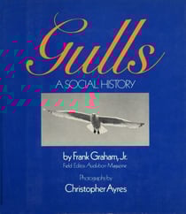 Gulls - A Social History