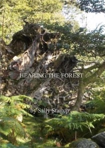 Hearing the Forest - Tree Speaker, #3
