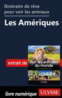 Itinéraires de rêve pour voir les animaux - Les Amériques
