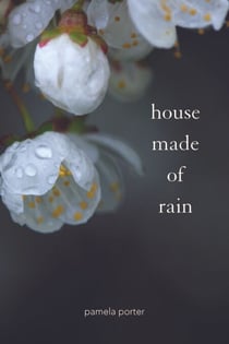 House Made of Rain