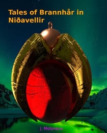 Tales of Brannhår  in Niðavellir - Blank Magic, #5