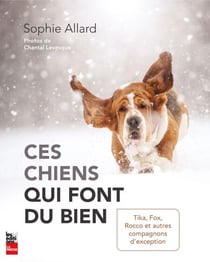 Ces chiens qui font du bien - Tika, Fox, Rocco et autres compagnons d'exception